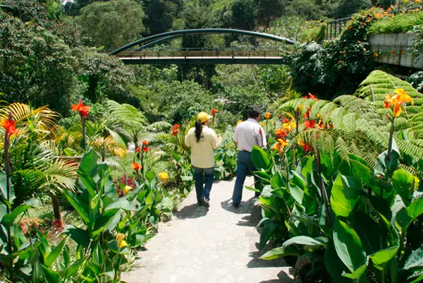 Propiedades-Envigado El Salado-2